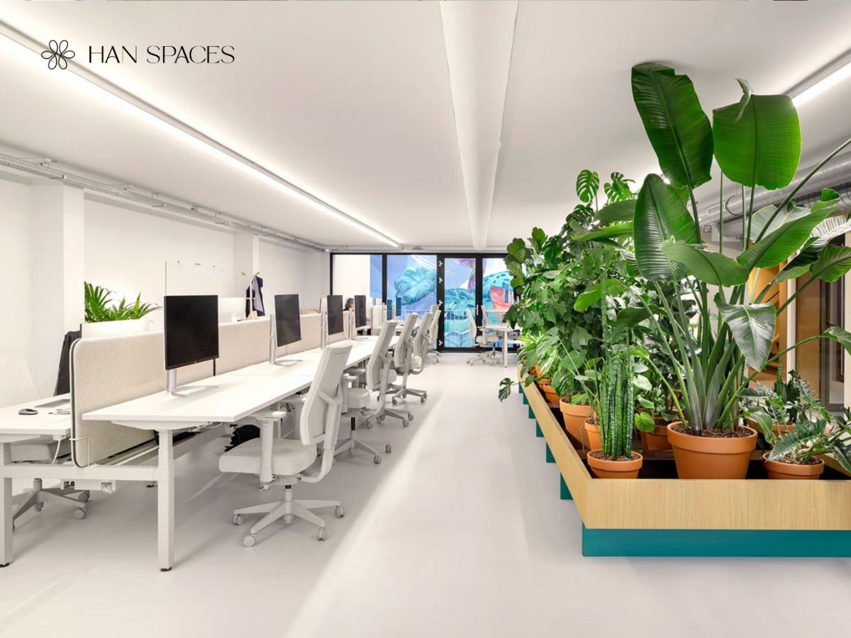 goi-y-mau-thiet-ke-van-phong-voi-cay-xanh-thong-thoang-de-chiu