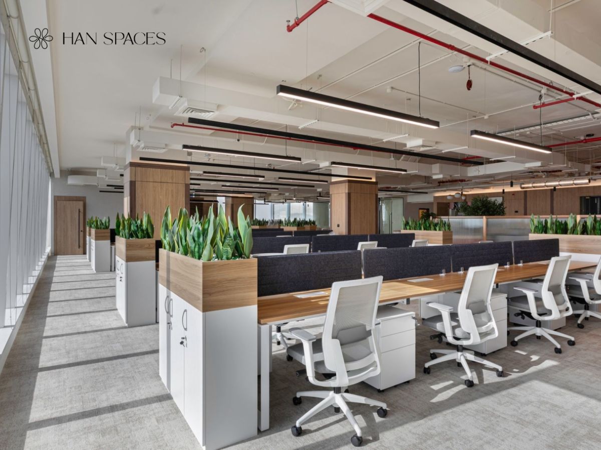 van-phong-500m2-phong-cach-biophilic-dua-thien-nhien-den-gan-voi-nhan-vien
